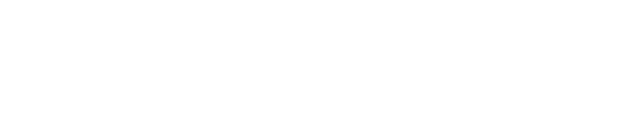 VP Saint Louis